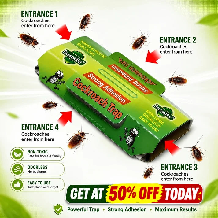 RoachCatch - Cockroach Trap | Strong Glue | Pack of 15
