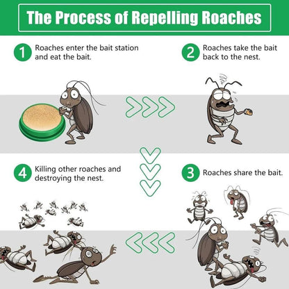 Cockroach Killer Gel (Pack of 2 =24 Pcs)